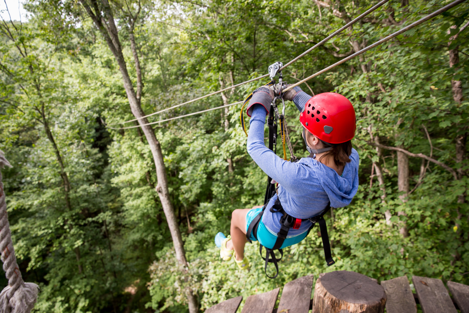 Client Spotlight Interview Tree Frog Canopy Tours